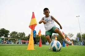 布拉德·史蒂文斯对凯尔特人队出售给比尔·奇泽姆的初步想法